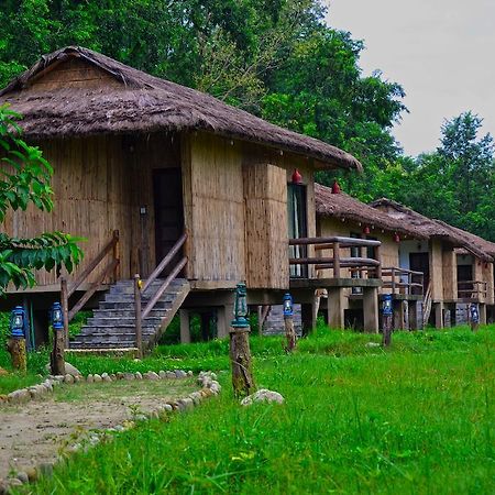 Temple Tiger Green Jungle Resort Kawasoti Værelse billede