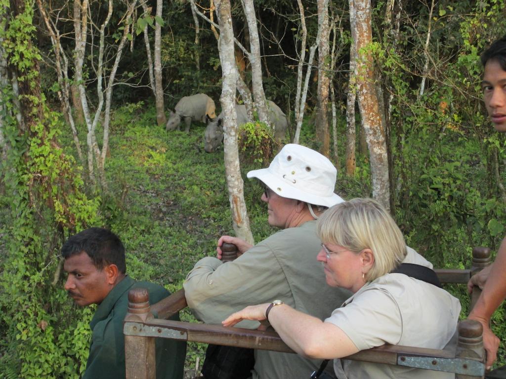 Temple Tiger Green Jungle Resort Kawasoti Eksteriør billede