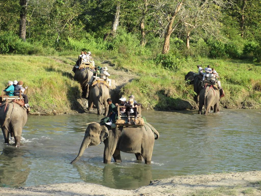 Temple Tiger Green Jungle Resort Kawasoti Eksteriør billede